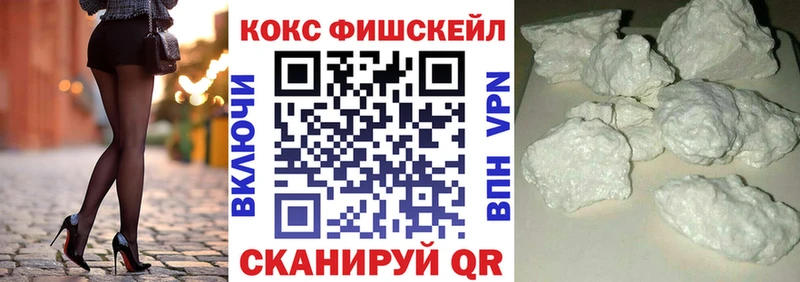 Cocaine Fish Scale  KRAKEN зеркало  Гдов 