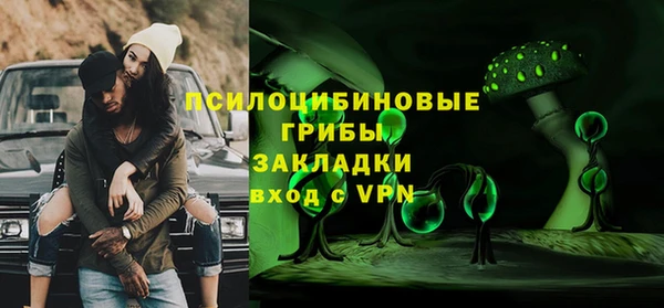 твердый Алексин